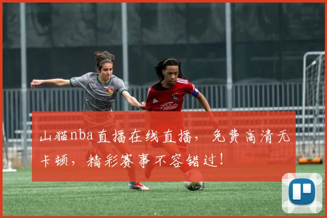 山猫nba直播在线直播，免费高清无卡顿，精彩赛事不容错过！