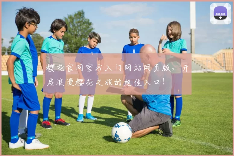 樱花官网官方入门网站网页版，开启浪漫樱花之旅的绝佳入口！