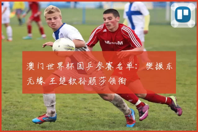 澳门世界杯国乒参赛名单：樊振东无缘 王楚钦孙颖莎领衔